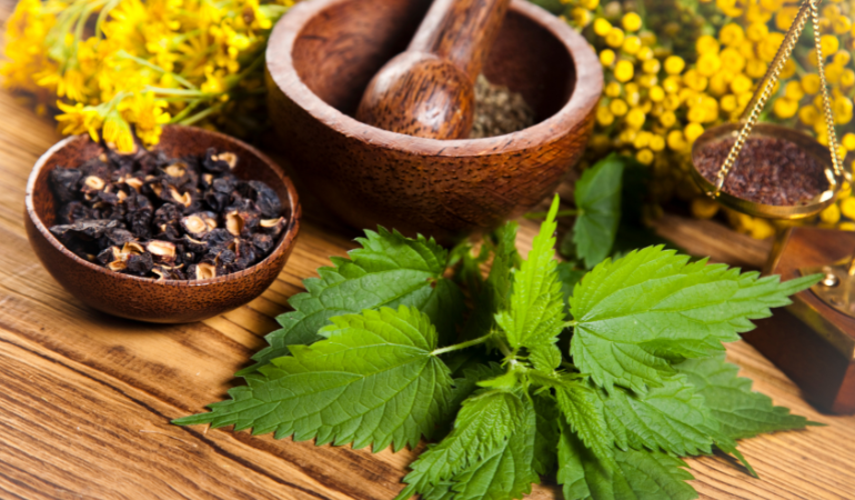 Natural Remedy? This Spice Shows Potential Against Superbugs