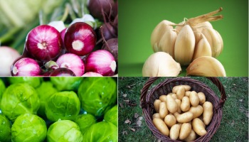 Sprouted Trouble: 4 Common Vegetables to Avoid Eating