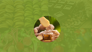 Top 5 Doctor-Approved Foods That Help Lower Blood Pressure Naturally